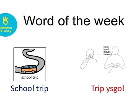 Word of the week school trip amr