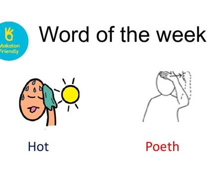 Word of the week hot